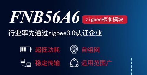 网络共赢广告联盟，重塑数字营销生态，共筑商业未来