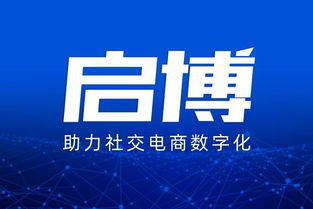 软告网网站联盟，重塑数字营销新生态