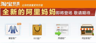 淘宝联盟网站域名认证，确保安全与信誉的必经之路