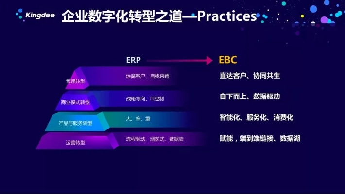 PEE广告联盟，重塑数字营销新生态的革新力量