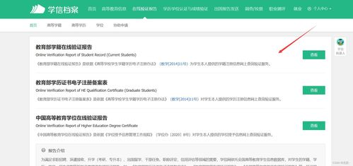百度联盟申请网站验证代码放置指南，解决放置难题，提升验证成功率