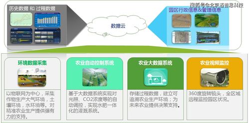 探索广告平台，为何它是现代营销不可或缺的一环