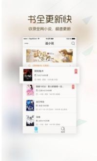 论坛与小说网站，探索广告联盟申请的可行之路