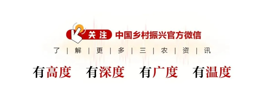 老乡广告联盟，连接乡土情感，共筑商业桥梁