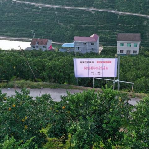 淘宝联盟如何上架商品到淘宝，全面指南