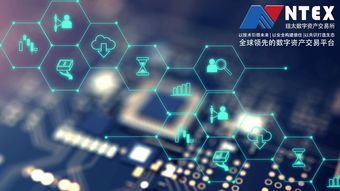 探索PayPopup联盟，解锁数字支付新纪元