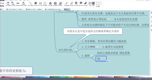 揭秘Linkbucks转址联盟，打造高效网络流量变现的秘诀