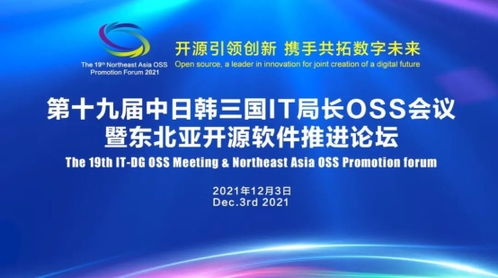 乘风国际广告联盟，打造全球品牌，引领数字营销新纪元