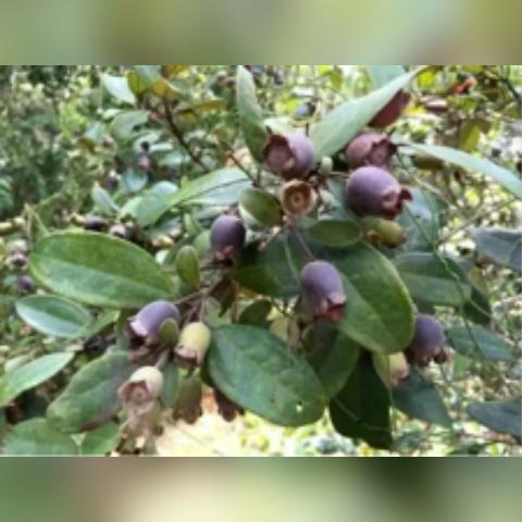 天天易广告联盟，重塑数字营销新生态
