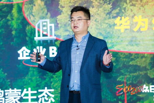 998CPS广告联盟，揭秘高效广告联盟背后的运营策略与成功案例
