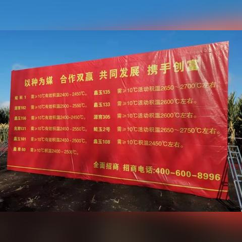 北方网络广告，重塑数字营销版图的新势力