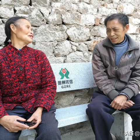 揭秘X档案广告联盟，打造高效广告投放的幕后英雄