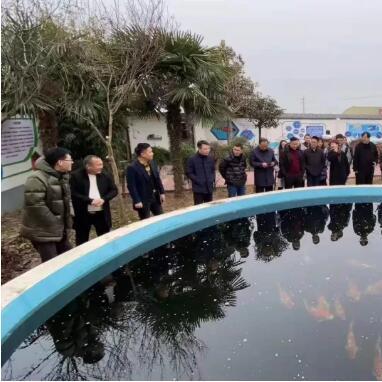 如何加入淘宝联盟，一步步指南