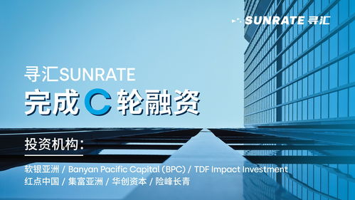 中金在线财经联盟，重塑金融生态，引领数字时代财富新航向