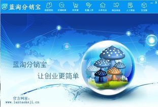 淘城广告联盟运营全解析，打造高效广告合作平台的策略与实战