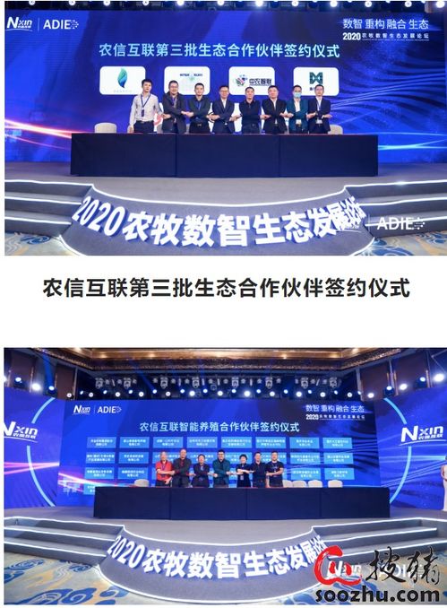第一空间广告传媒，重塑数字时代广告新生态