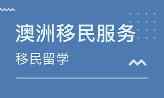 财富教学平台、学习广告联盟，探索真实性与价值