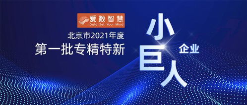 巨人网络传媒，重塑传媒生态，引领数字时代新风尚