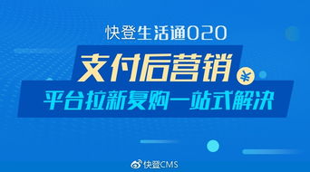 日支付广告联盟，重塑数字营销生态，开启高效广告新纪元
