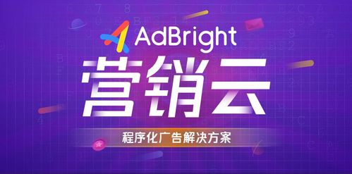 揭秘极品广告联盟，打造高效广告投放的秘诀