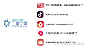 如何在我的网站上投放淘宝联盟广告，从登录后台到优化策略