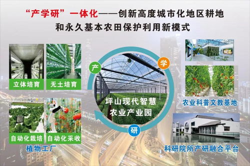 嘻喔喔广告联盟，打造高效广告合作新生态