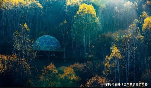 那个广告联盟比较好啊？深度剖析与推荐
