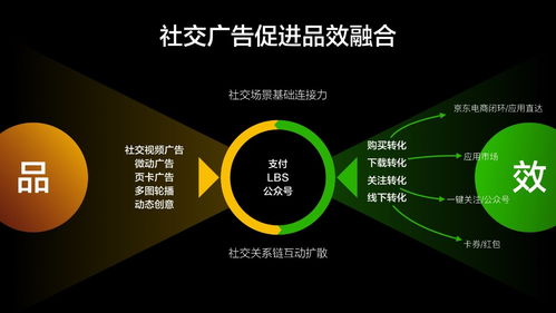 互联广告联盟，重塑数字营销生态，引领未来商业趋势