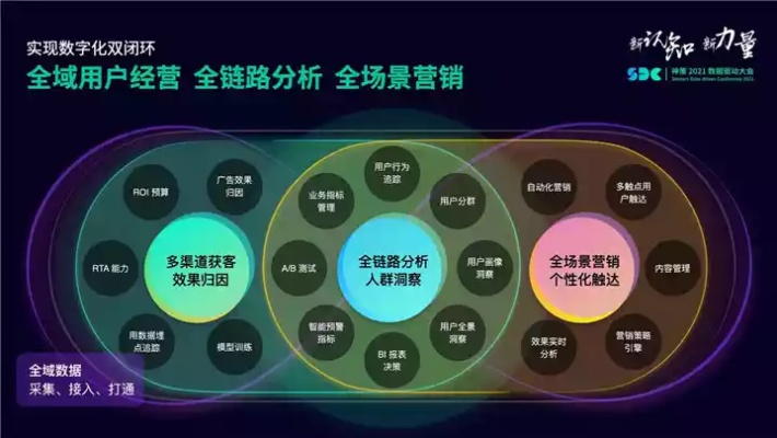 CPA广告最高单价30元471000IP详解，一场数字营销中的精准与效益博弈