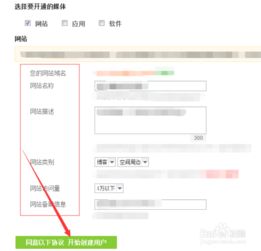 如何查网站加入百度联盟成功，详细步骤与注意事项