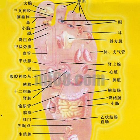 子午广告联盟的信誉如何，深度剖析与评估