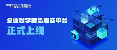 爱润广告联盟，携手共创数字营销新纪元