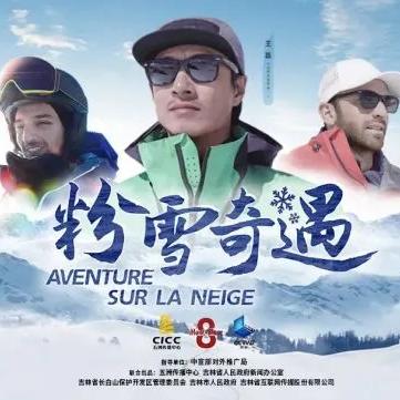 多维传媒联盟，重塑传媒生态，引领数字时代新风尚