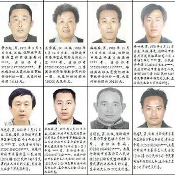 网络广告执行全解析，策略、创意、投放与优化