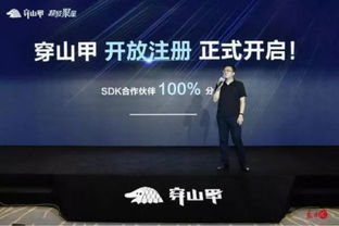 什么广告联盟打广告好，深度解析与推荐