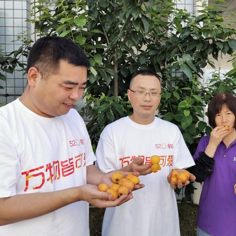 淘宝联盟与淘宝的紧密关系及账号安全探讨