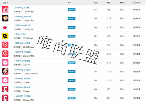 日付广告联盟与联合传媒广告联盟，信誉与效果并重的选择