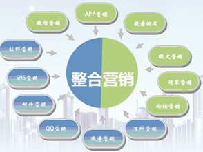 小型企业网络广告形式选择，策略与实践