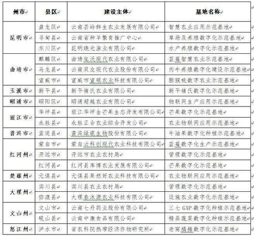 云途广告联盟，开启数字营销新纪元