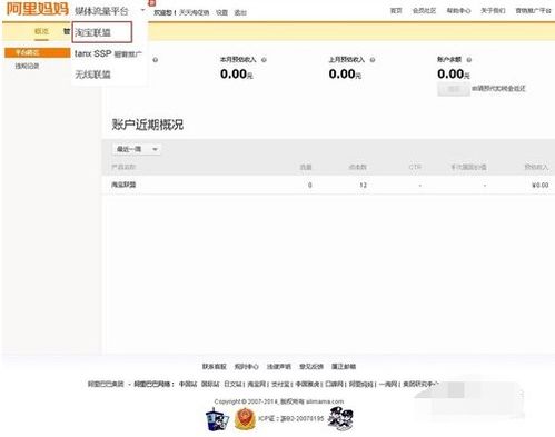 淘宝联盟单品推广点击次数统计解析