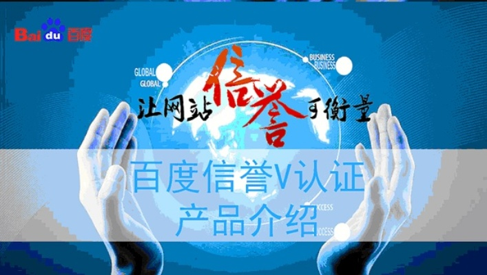 百度联盟验证，确保合作质量与信誉的关键步骤