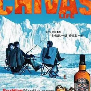 搜索大型门户网站网络广告报价信息，洞悉市场，精准投放