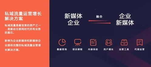 谷歌联盟，如何在英文站投放广告