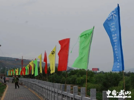 判断题，旗帜广告是最常见的网络广告形式