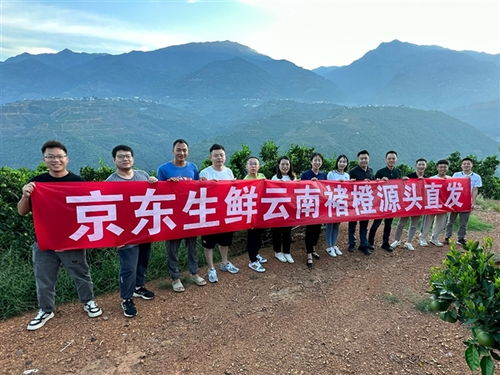 两个牛联盟，重塑农业合作新生态