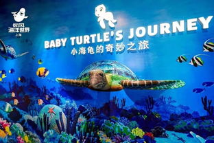 大海联盟，探索全球海洋合作的新篇章