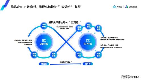 七鱼数据，解锁企业数据驱动增长的新密码