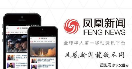 1024上面的广告是广告联盟投放的还是直接联系站方投放的？怎样找？