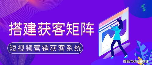 555广告联盟，打造高效广告投放，助力企业精准营销