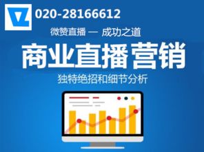 变现猪广告联盟，解锁互联网营销新纪元，实现流量变现的秘诀